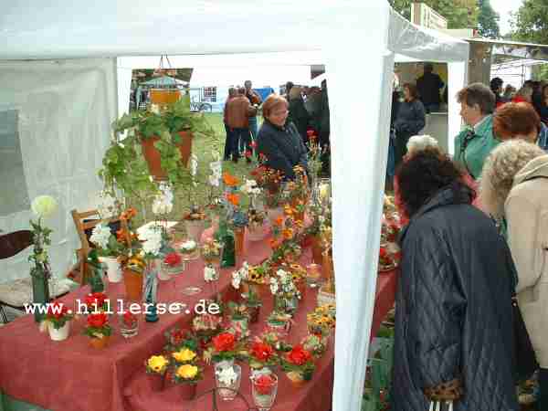 Herbstmarkt in Hillerse