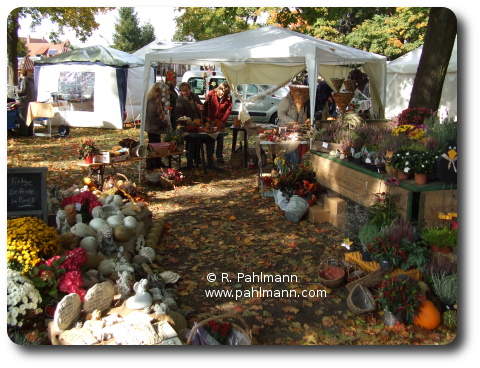 Herbstmarkt 2008